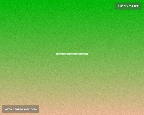 胡金秋赛后泪洒赛场遗憾输澳大利亚全力以赴难掩失落情感 胡金秋赛后泪洒赛场遗憾输澳大利亚全力以赴难掩失落情感