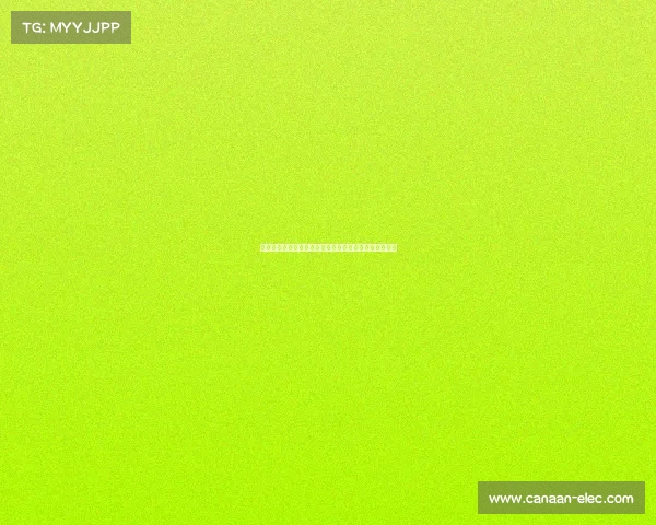 法甲联赛精彩回顾:聚焦本轮焦点战及精彩进球瞬间分析 法甲联赛精彩回顾:聚焦本轮焦点战及精彩进球瞬间分析