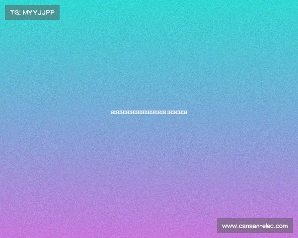 英格兰女足门将汉娜汉普顿小抄助力点球大战胜利 打破关键时刻僵局 英格兰女足门将汉娜汉普顿小抄助力点球大战胜利 打破关键时刻僵局