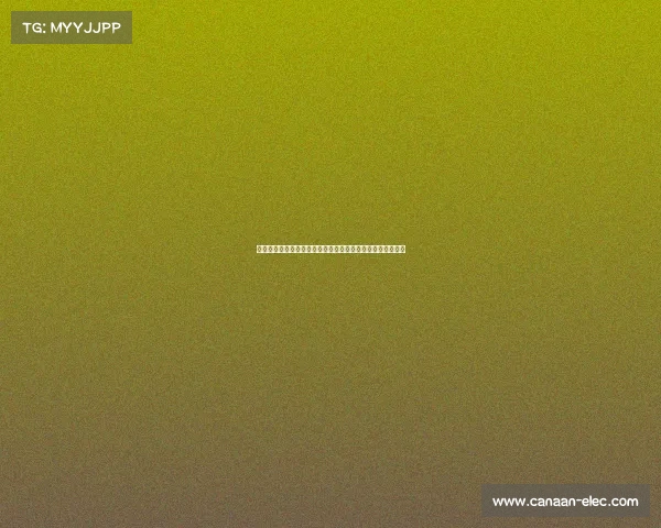 蒙古选手在国际传统弓术锦标赛中获得最高分创造历史新纪录