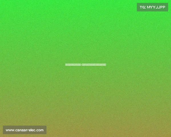 德天空:纽卡已与马利克-佳夫就个人条款达成协议即将完成转会 德天空:纽卡已与马利克-佳夫就个人条款达成协议即将完成转会