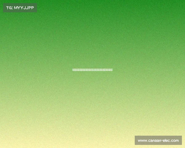 李新翔专访:热爱亚马尔的成长之路与外界关注的正向推动 李新翔专访:热爱亚马尔的成长之路与外界关注的正向推动