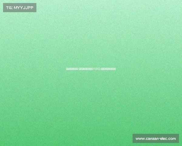 梦幻联动引发热潮 罗马诺宣布扎卡加入HWG 多邻国吉祥物惊喜现身