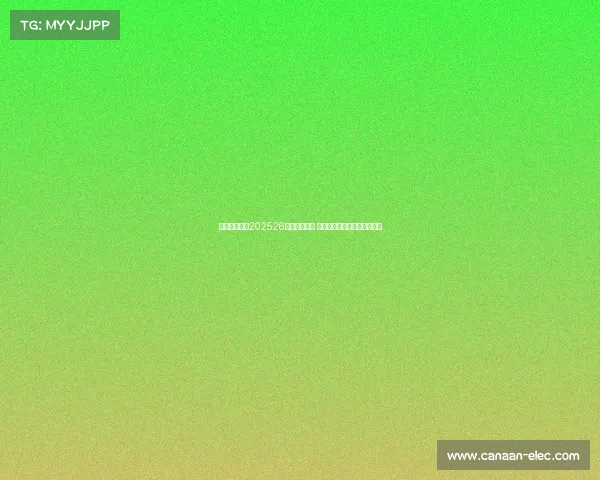 法兰克福发布202526赛季主场球衣 红黑白三色经典重塑再现辉煌 法兰克福发布202526赛季主场球衣 红黑白三色经典重塑再现辉煌