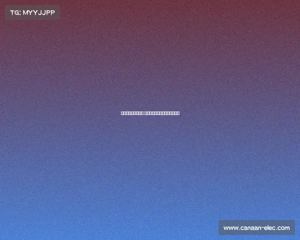 詹姆斯凌晨抵达上海 湖人球迷热情接机掀起狂热气氛