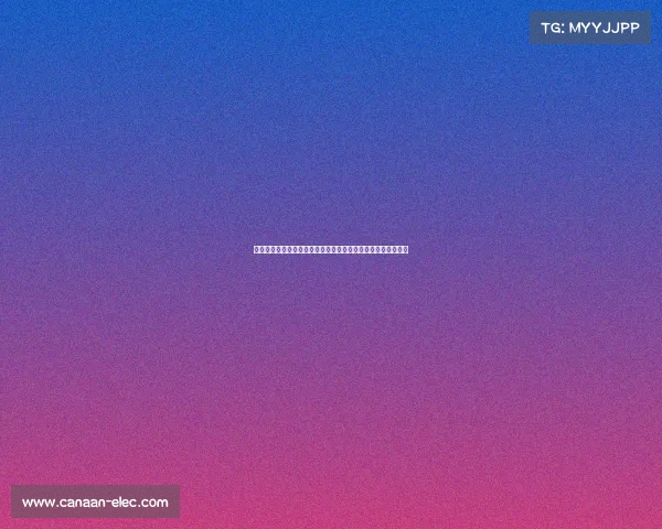 赫拉德马丁谈邓弗里斯对抗：对我而言那次冲突完全是犯规主导