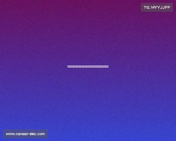 迪马济奥透露尤文冈萨雷斯与曼联桑乔均被推荐给国米引援考察