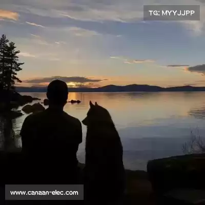 秦牧望